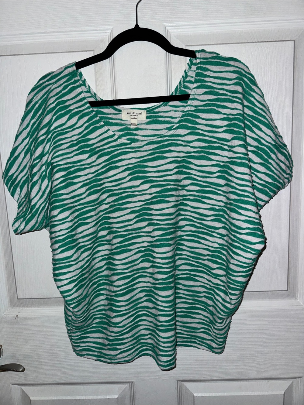 Kim & Cami Teal and White Zebra-Stripe V-Neck Short Sleeve Top